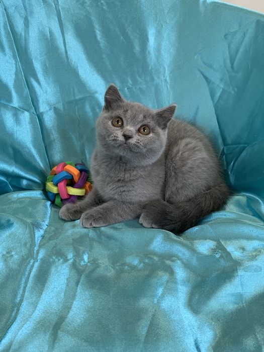 Хлопчики в плюшевих шубках !