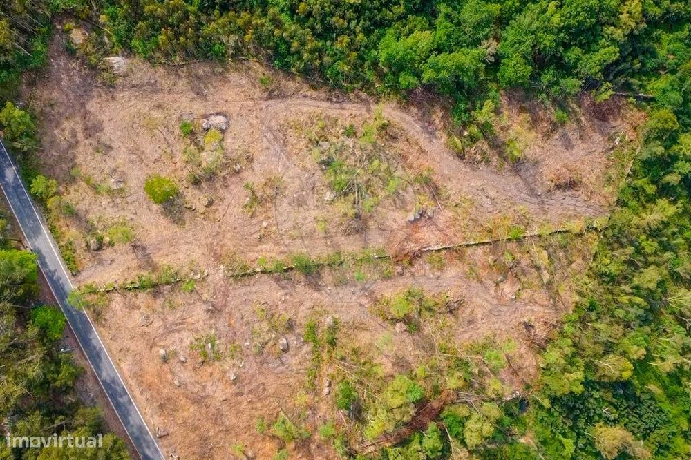 Terreno  para venda