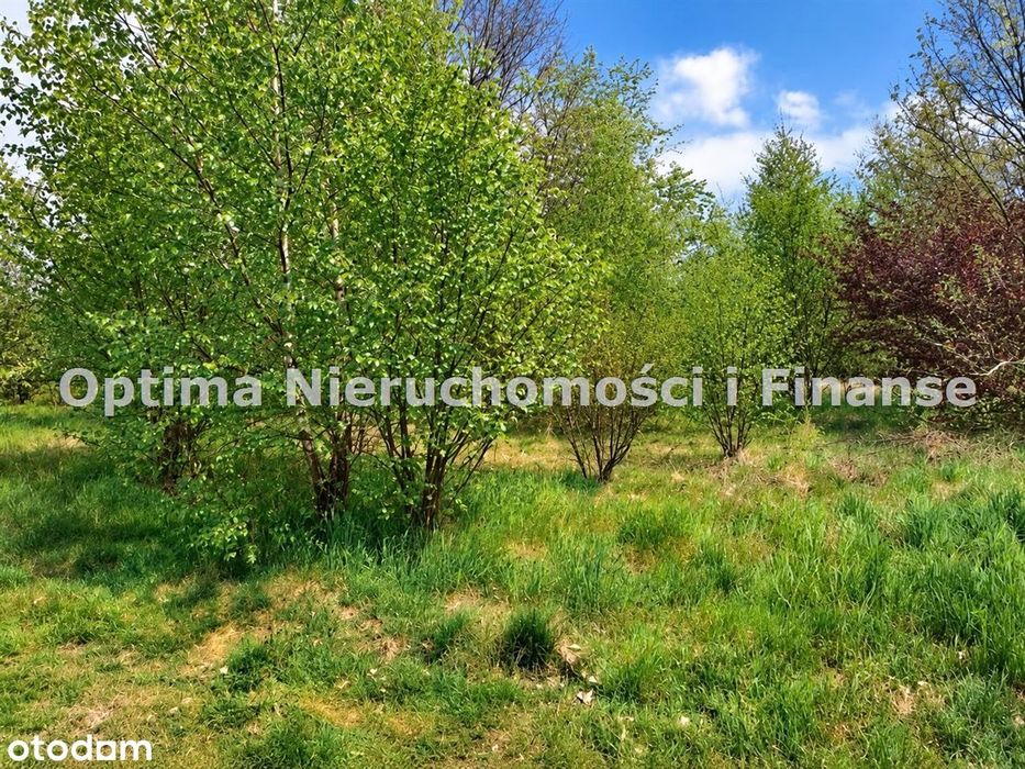 Działka 4734 m² – Ornontowice, ul. Marzankowice