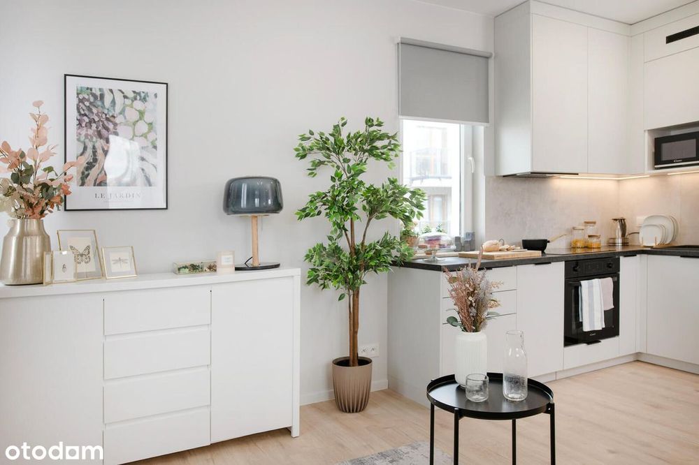 Najem od 3 miesięcy | Zwierzęta OK| from 3 months!| 1BED | Pets OK