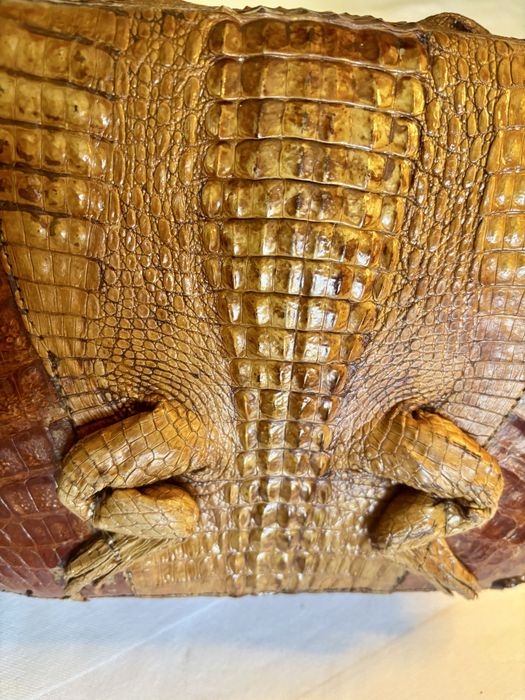 Mala em pele de crocodilo verdadeira