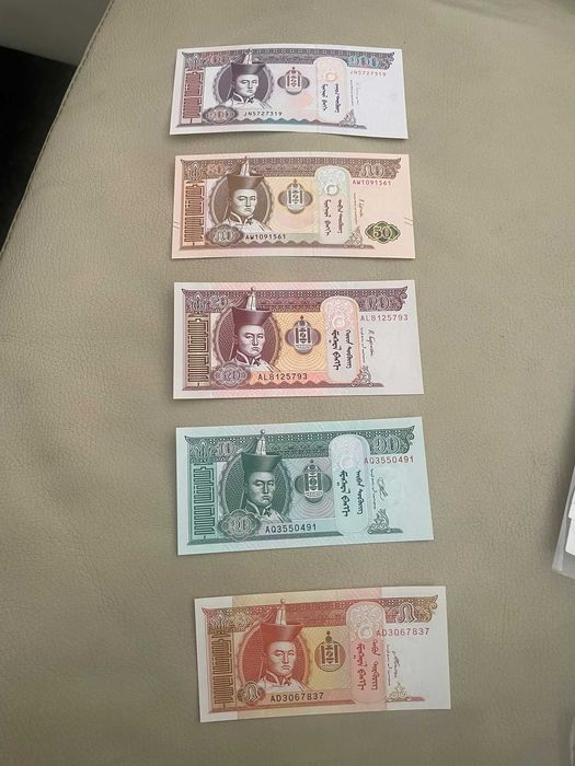 CONJUNTO DE NOTAS MANGOLIA