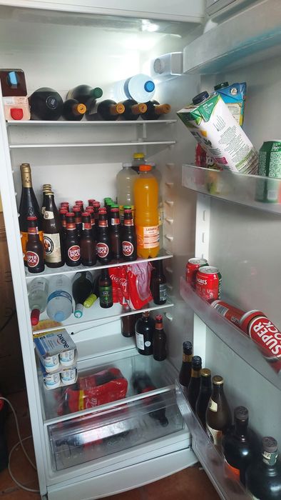 Frigorífico Zanussi 1 porta 314L