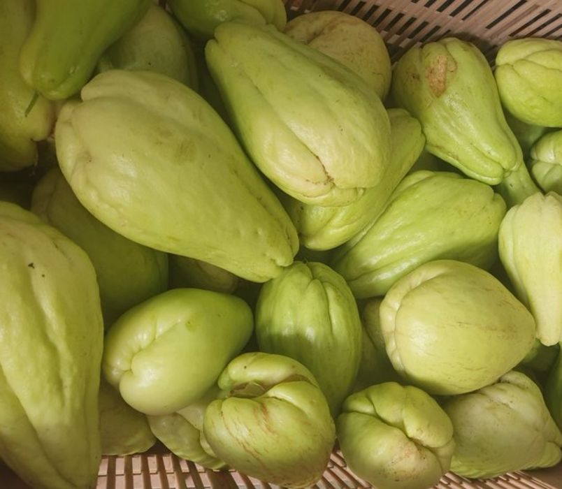 Vende-se Chuchus biológicos