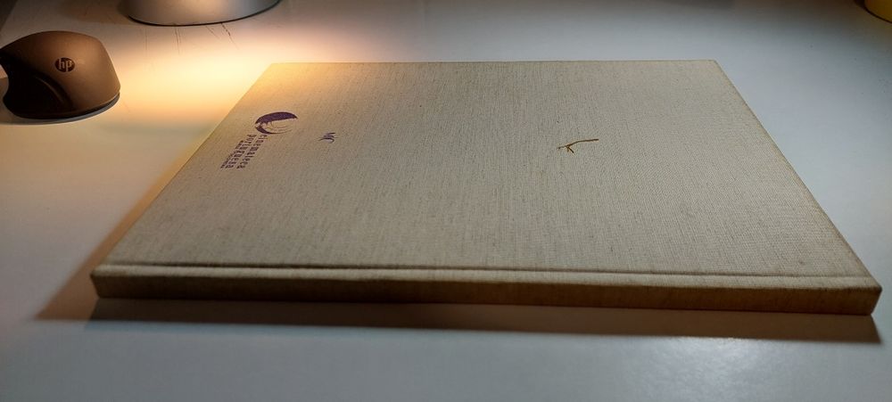 Mário Viegas - Rita Azevedo Gomes, Francisco Grave