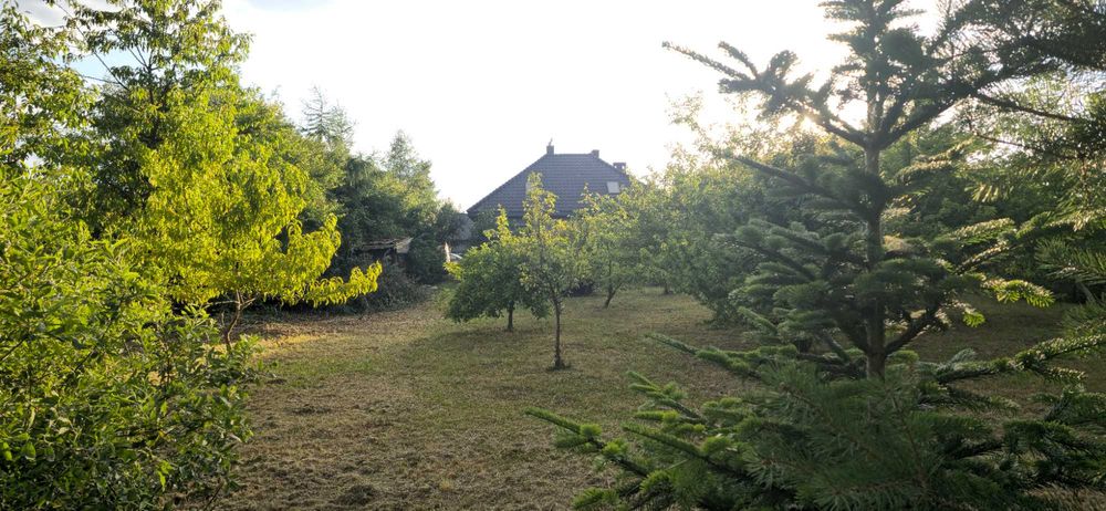 DZIAŁKA BUDOWLANA  1200 m², SZEWCE ,2km od WROCŁAWIA plan MPZP/ Autobus czerwony