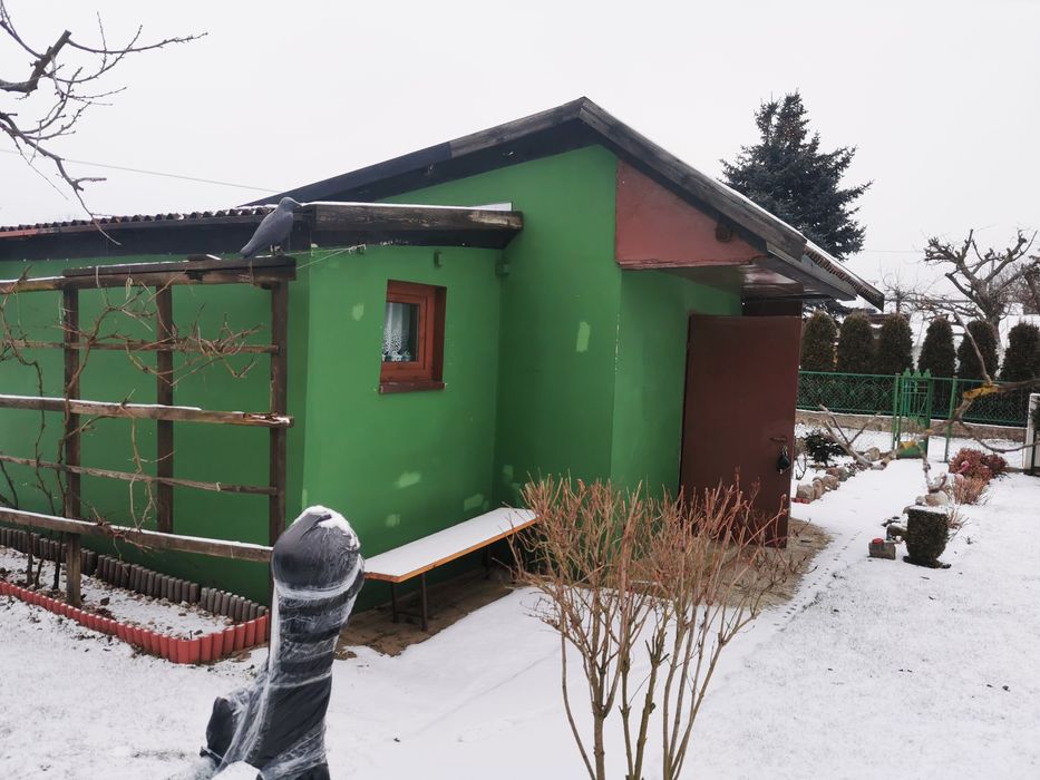 Działka ROD 279m2 Magnolia Grudziądz