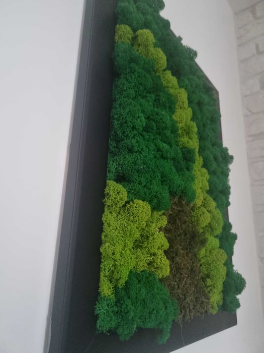 Obraz z mchu chrobotka 42x52cm