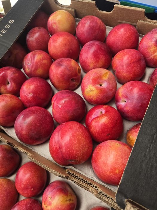 Caixas de ameixas vermelhas otima qualidade para entregas