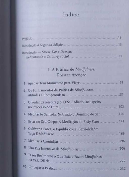 Mindfulness; A vida como ela é - Jon Kabat-Zinn