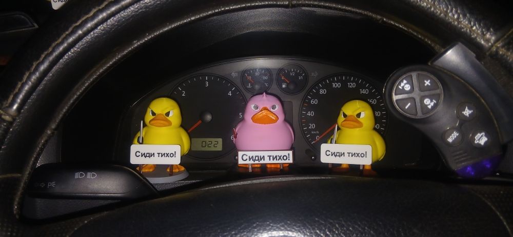 Качечки в машину