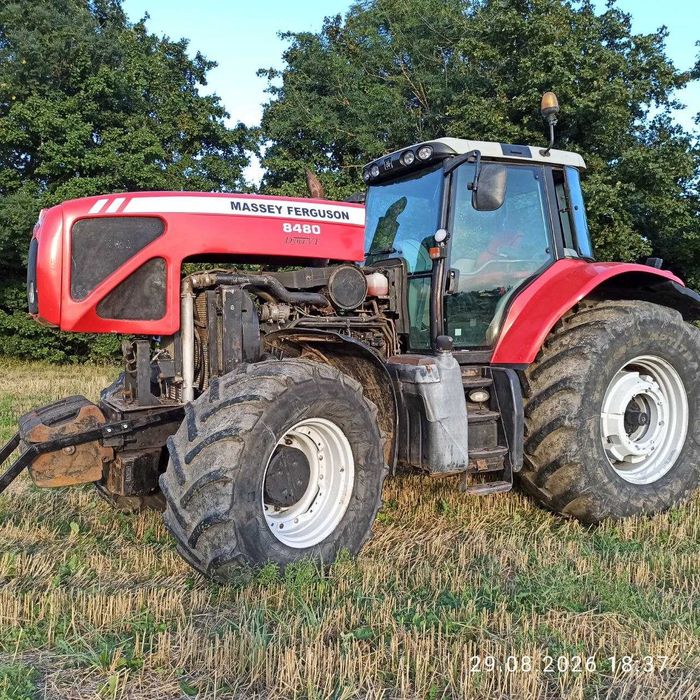 Трактор Massey Ferguson 8480