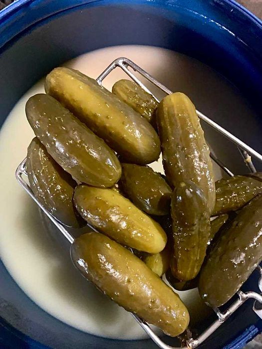 Ogórki kiszone Octopus/Allianz