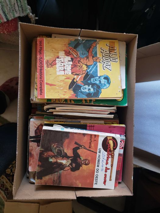 Livros - Romances, Policiais, Temáticos, BD e outros