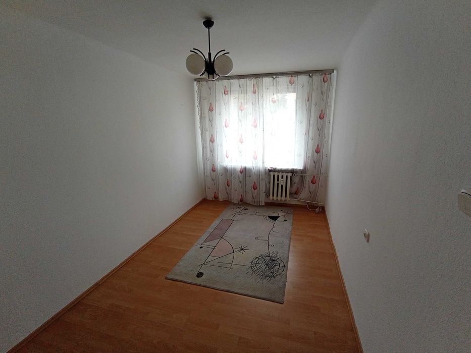 Zdjęcie 2