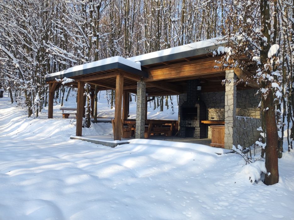 Domek na wynajem Między Drzewami