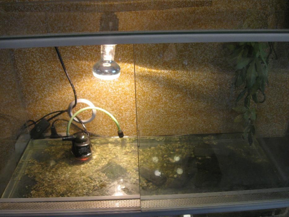 Sprzedam terrarium.
