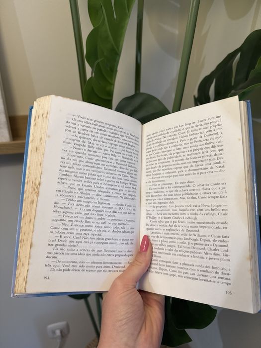 Livro de Capa dura “Asas” de Danielle Steel