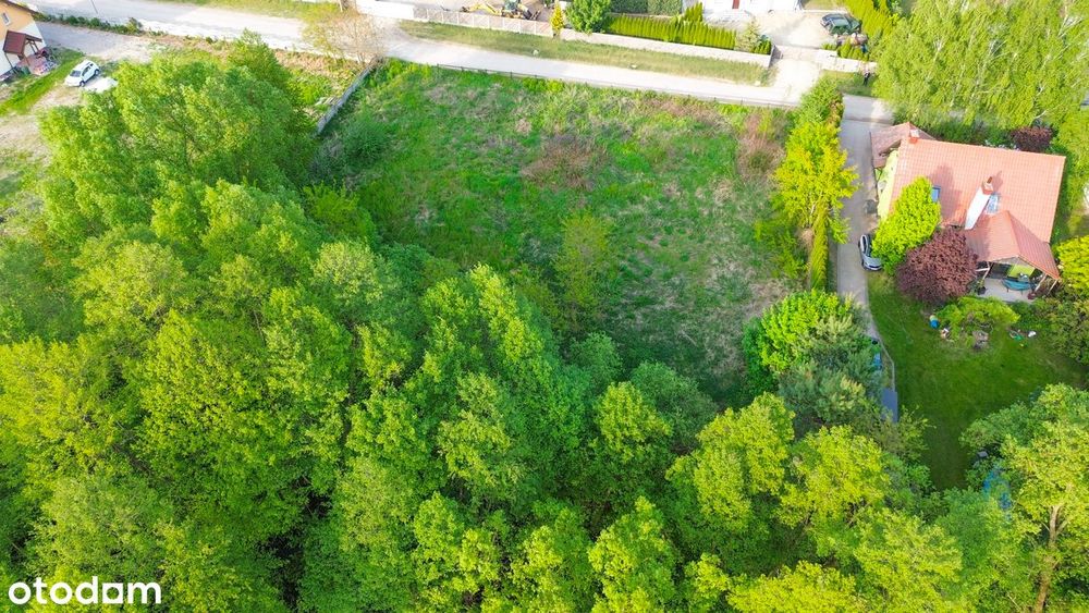 Działka 1070 m² ! Malownicza lokalizacja blisko jeziora i natury - Widok 5