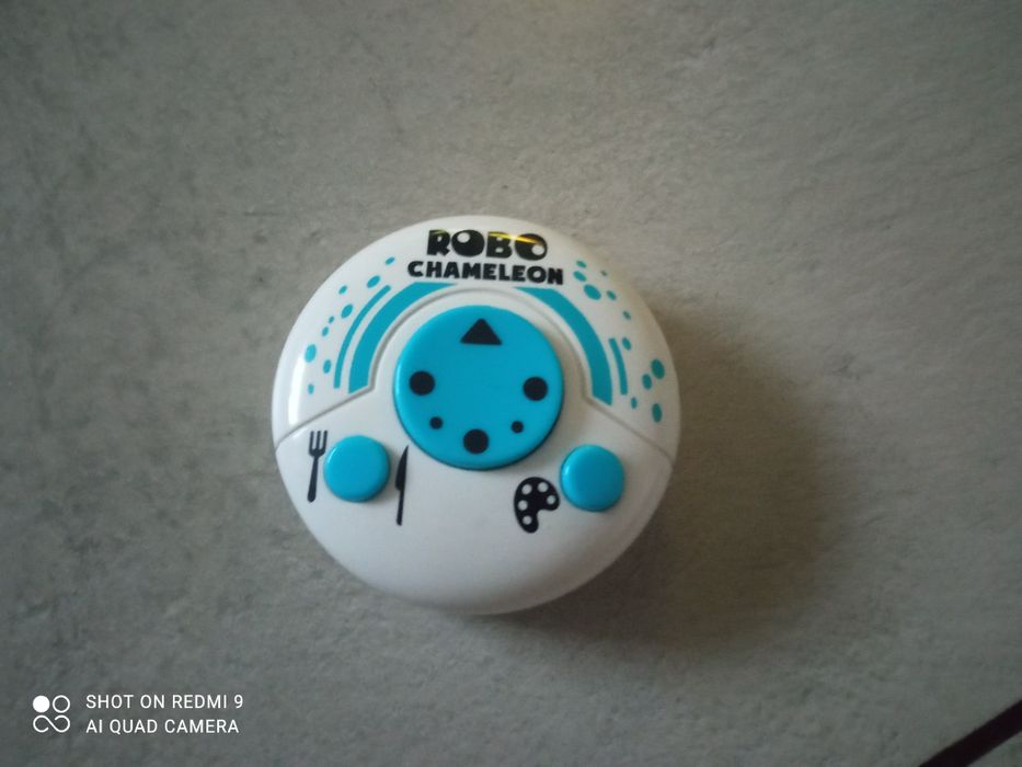 Kameleon interaktywny