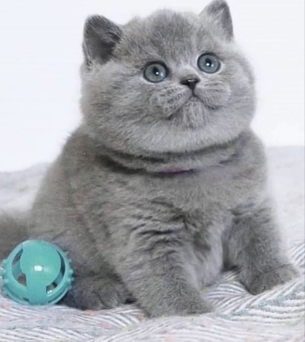 Очень красивая девочка