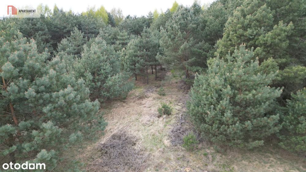 Bory Tucholskie – działka 1195 mkw pod budowę domu
