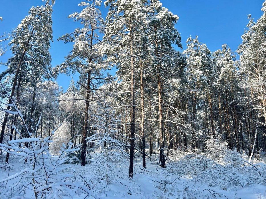 Земельна ділянка 2 Га!!! Копилів ! Терміново!