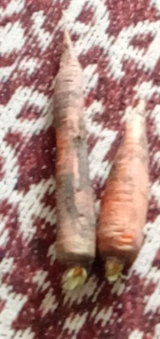 Домашня продукція