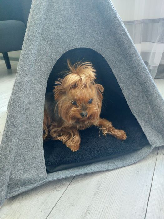 Будка намет для тварин MyAnimaly