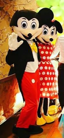 Aluguer de fatos de mascotes para festas - Panda, Minnie, etc