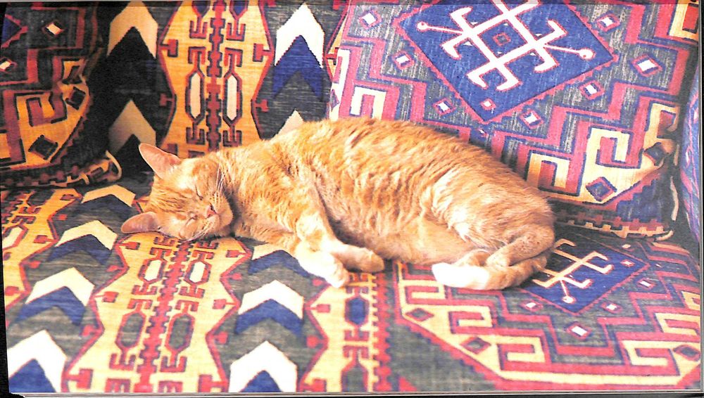 "Cats, Kittens..." by Various Authors [New]64751790182402122