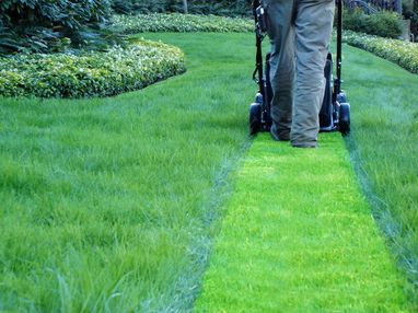 Koszenie trawników, cięcie tui, wycinka. Utrzymanie terenów zielonych!