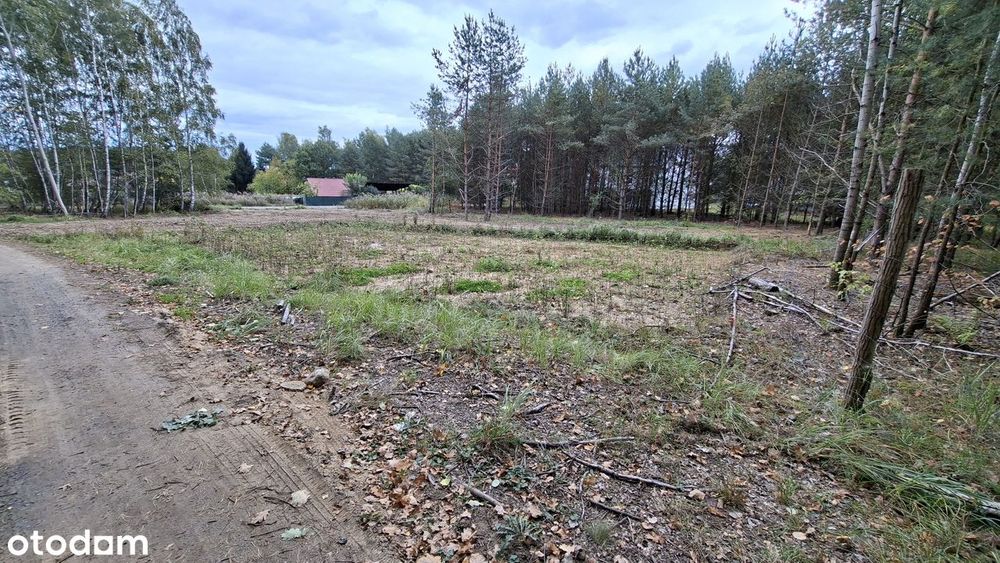 Działka budowlana Zielona Góra Drzonków ul. Radosna, Racula - Widok 2
