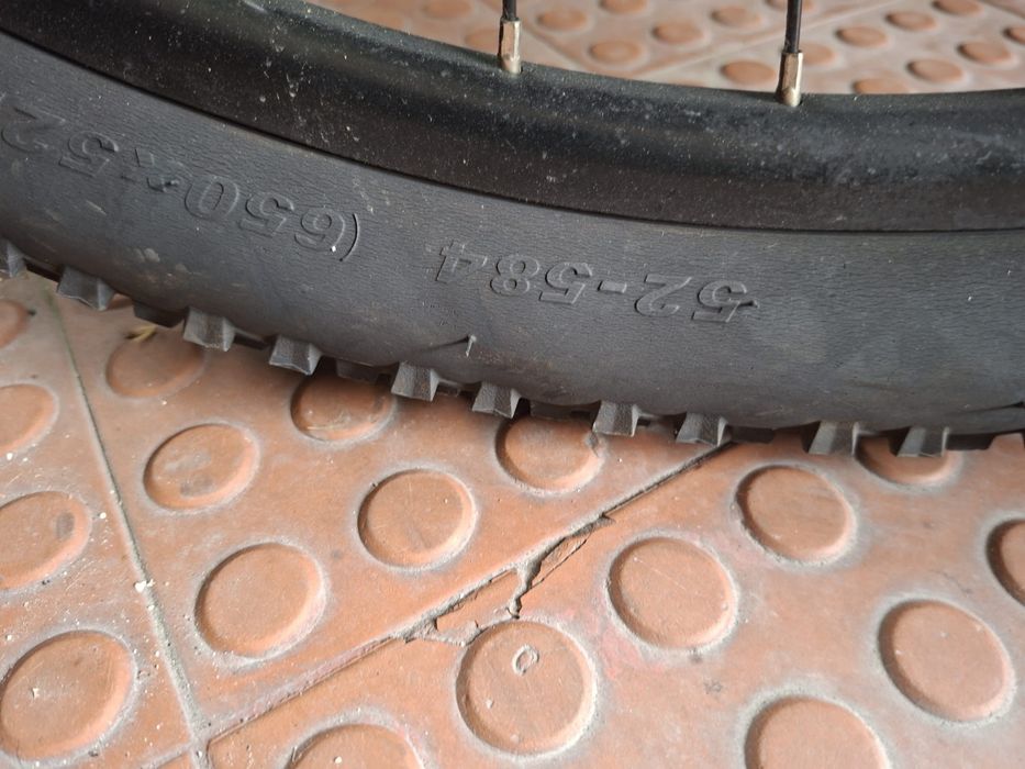 Bicicleta com bacteria da mar a nilox