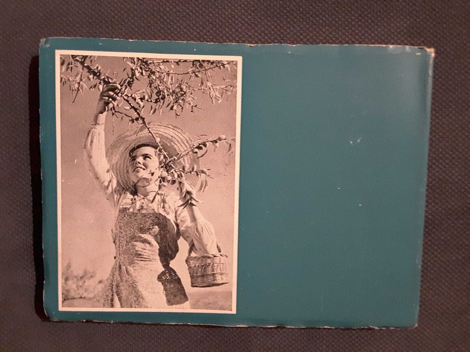 Portugal Turístico / Do Corvo a Santa Maria