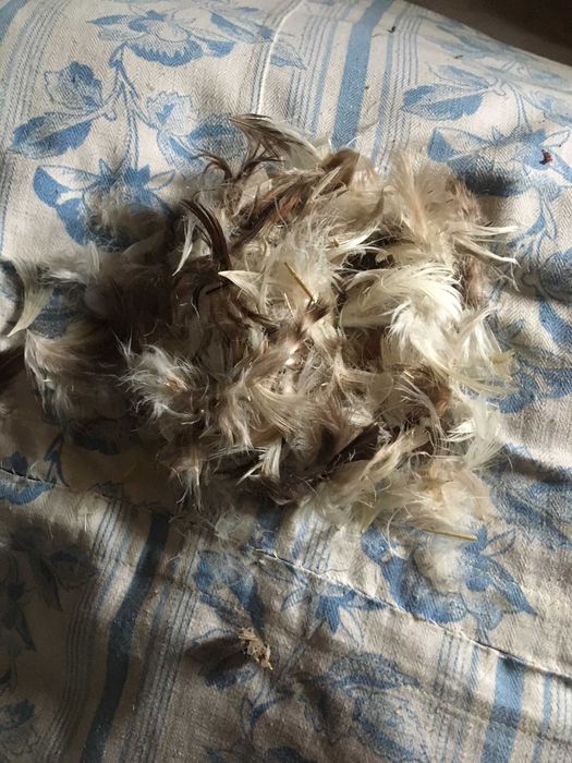 Перина, пухо-перьевая полуторная.