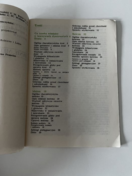 Warzywa o największych owocach dynie Melon Kawon