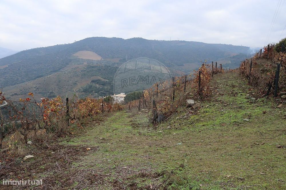Terreno  para venda — Vila Seca E Santo Adrião, Viseu