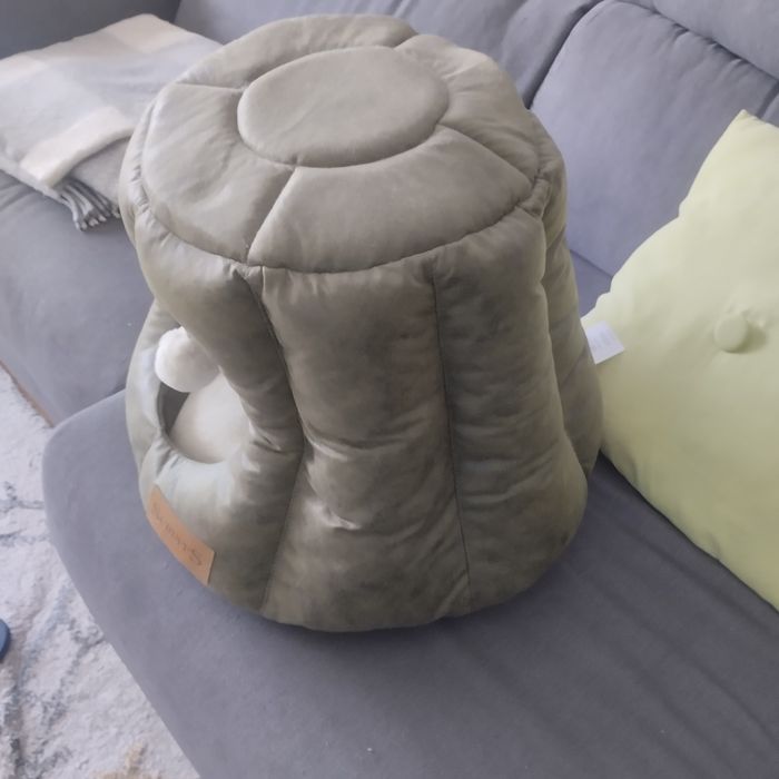 Cama de Gato novo