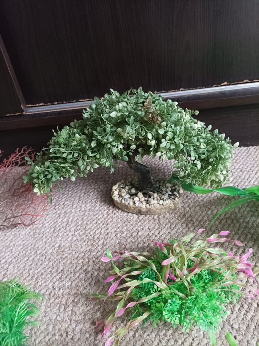 Sztuczne rośliny do akwarium