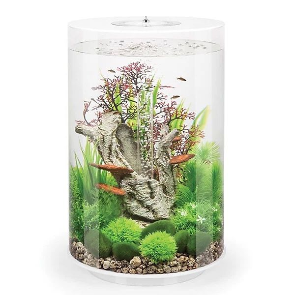Aquario Biorb Tube 30L