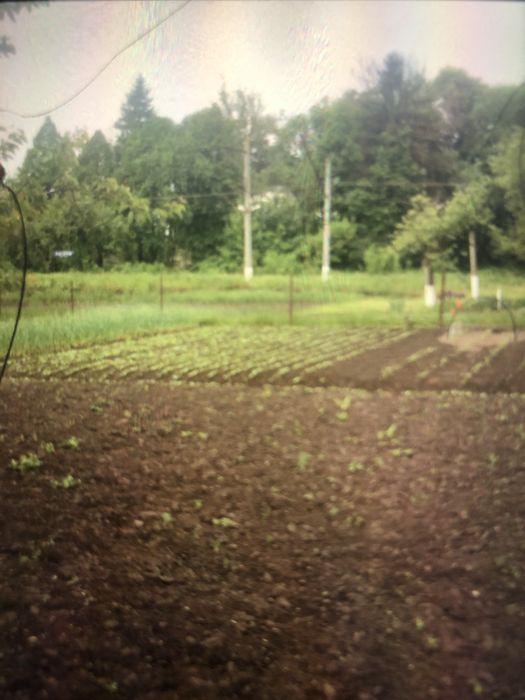 Земельна ділянка  Рогачів