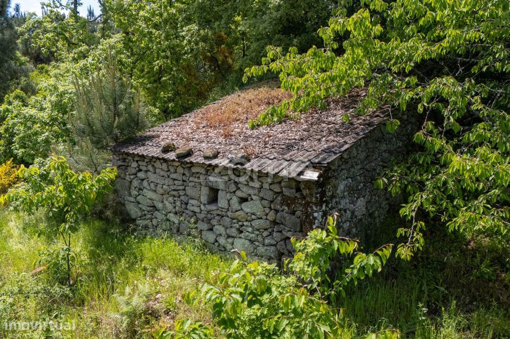 Terreno de 4437m2 com ruína, Santa Marta de Penaguião, Douro