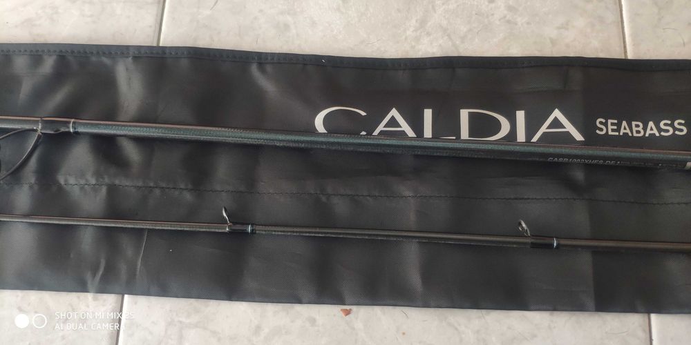 Daiwa caldia seabass distance 3.05