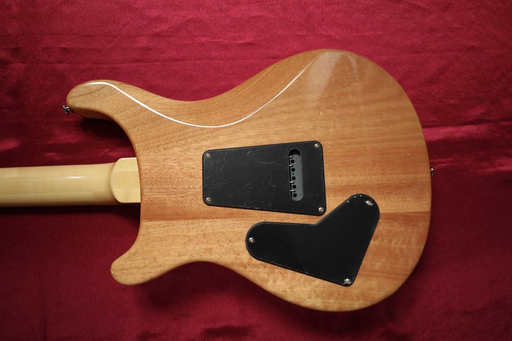 PRS SE Custom 24-8 (Eriza Verde)