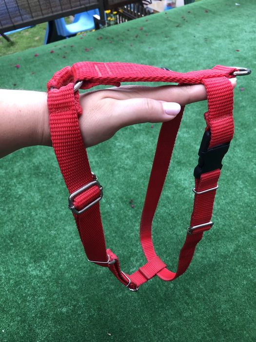 Szelki quard dla psa roz L