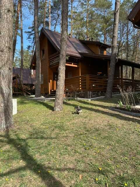 Domek na Mazurach na wynajem (7 osobowy)