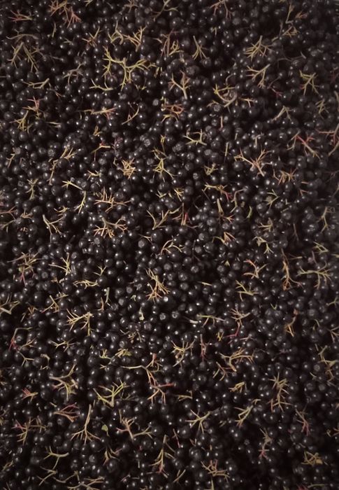 Глід, червона горобина, терен, шипшина, аронія, сушені і свіжі ягоди.