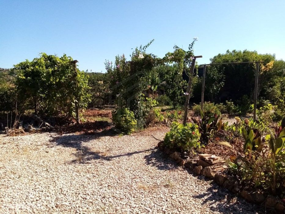 Agricultural Plot of 2,120 m², São Bartolomeu de Messines, Algarve