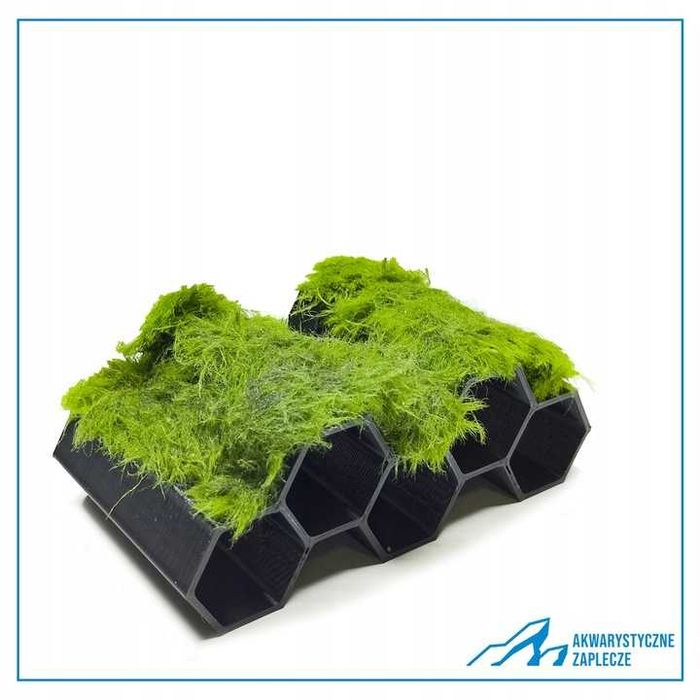 Kryjówka dla krewetek pokryta Gałęzatką - Ozdoba do akwarium Dekoracja